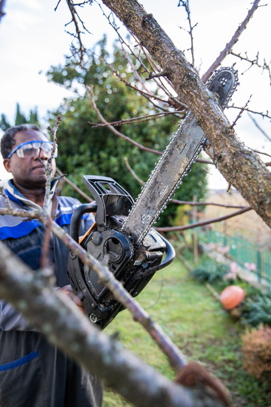 a-woodcutter-cuts-a-branch-wearing-protective-gogg-2023-01-13-18-51-31-utc.jpg